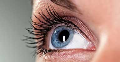 عرض تربو صغير + جامبو